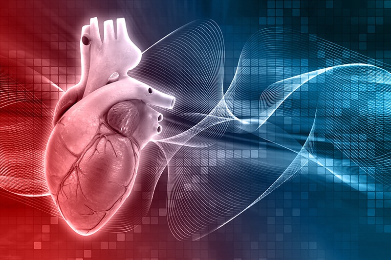 Santé cardiovasculaire