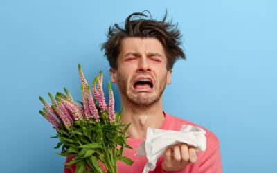 Les allergies saisonnières